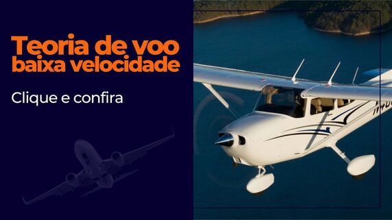 Teoria de voo de baixa velocidade 