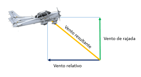 Fatores de carga nas rajadas de vento em voo horizontal